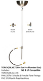 TORCH36B+ Single Portable GAS Backyard Torch w 36" shaft, 11 inch double bowls, spike and base; 3ft hoses and fittings